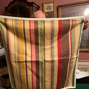 Pottery Barn pillow shams! (1 pair)